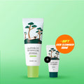 ROUND LAB Pine Calming Cica Mild-Up Sunscreen 40ml Set (+Pine Cleanser 10ml)
