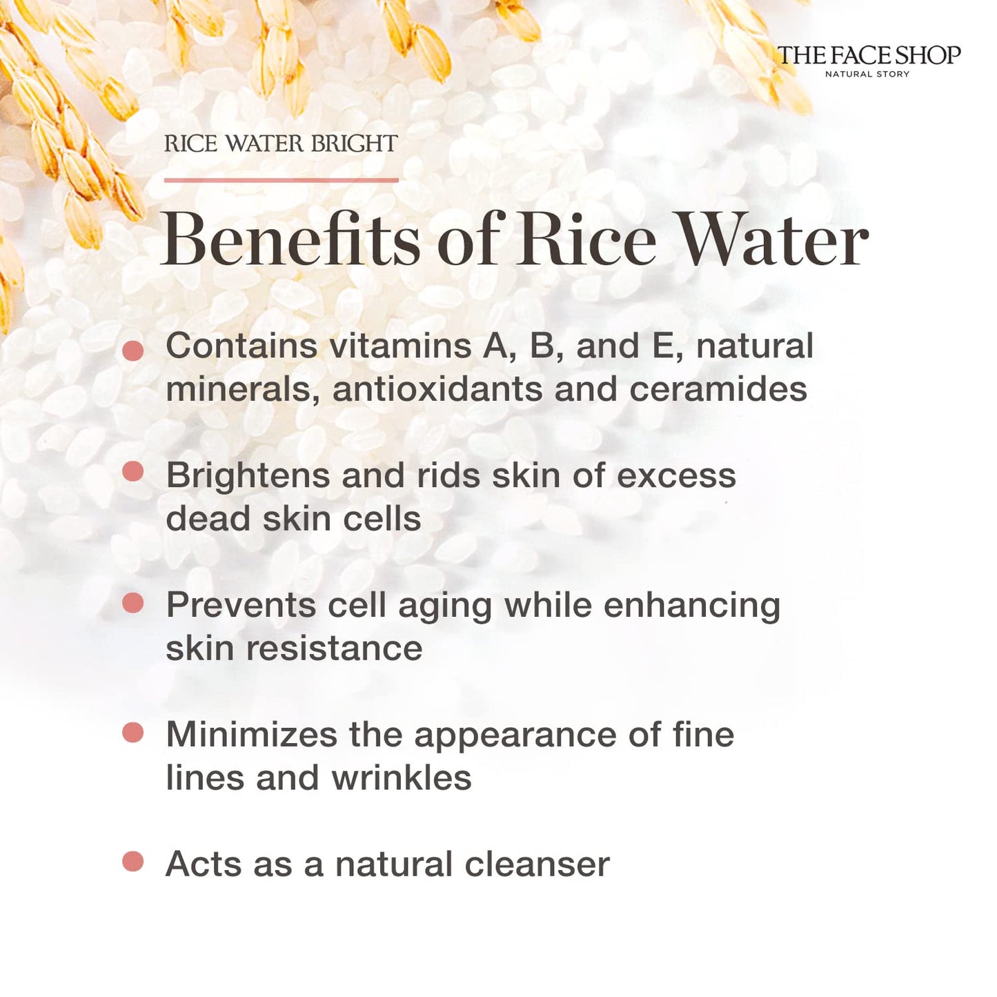 Rice Ceramide Moisturizing Toner