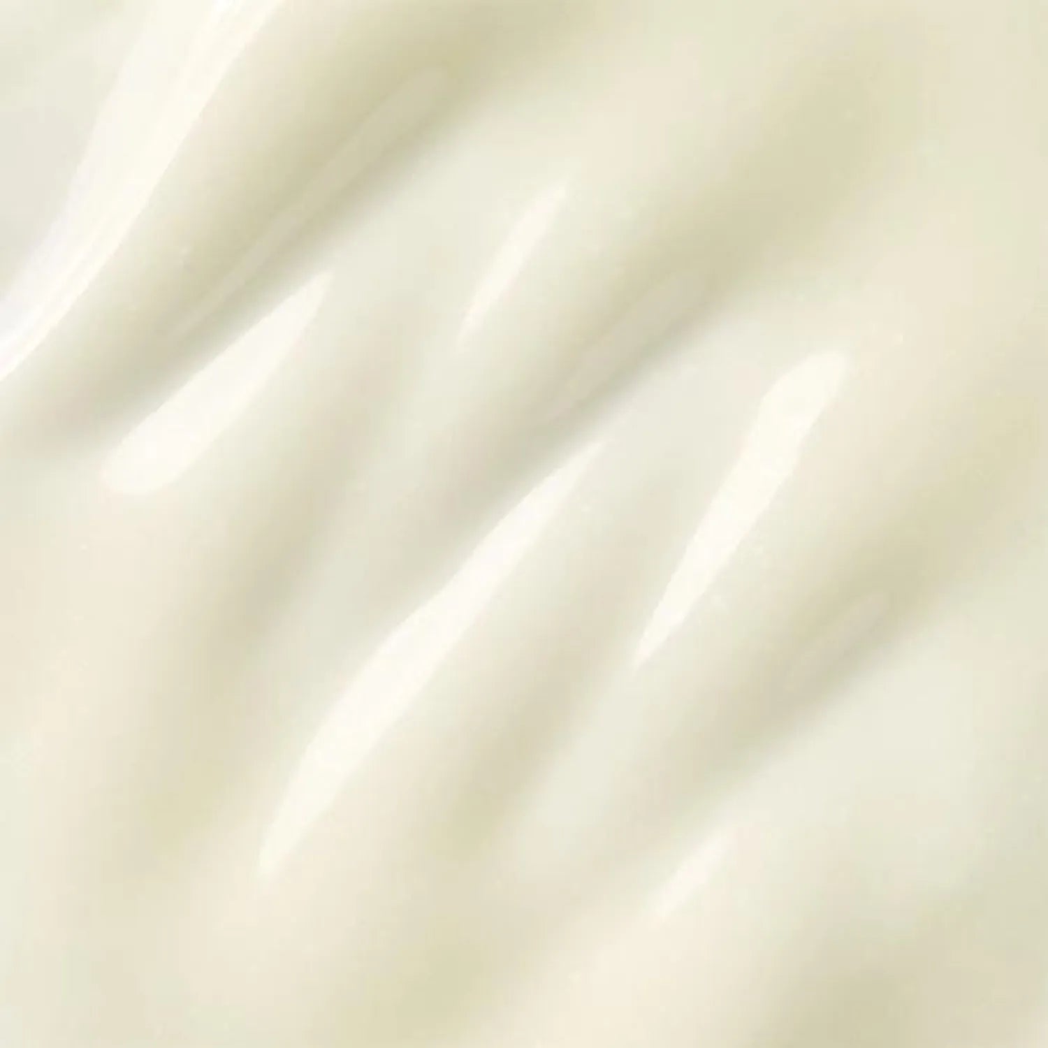 BIOHEAL BOH Probioderm Collagen Essence Sun Cream 1+1 Special Set