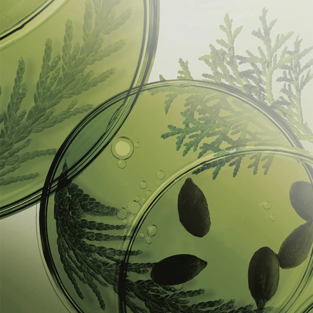 Ryo Root:Gen Scalp Care Shampoo for women 353mL Special Set (+100mL)