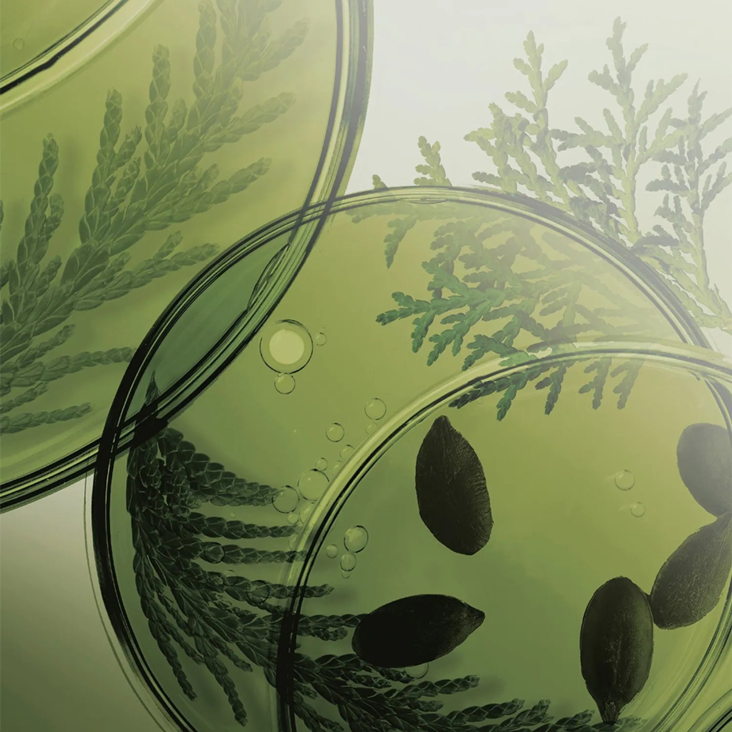 Ryo Root:Gen Scalp Care Shampoo for women 353mL Special Set (+100mL)