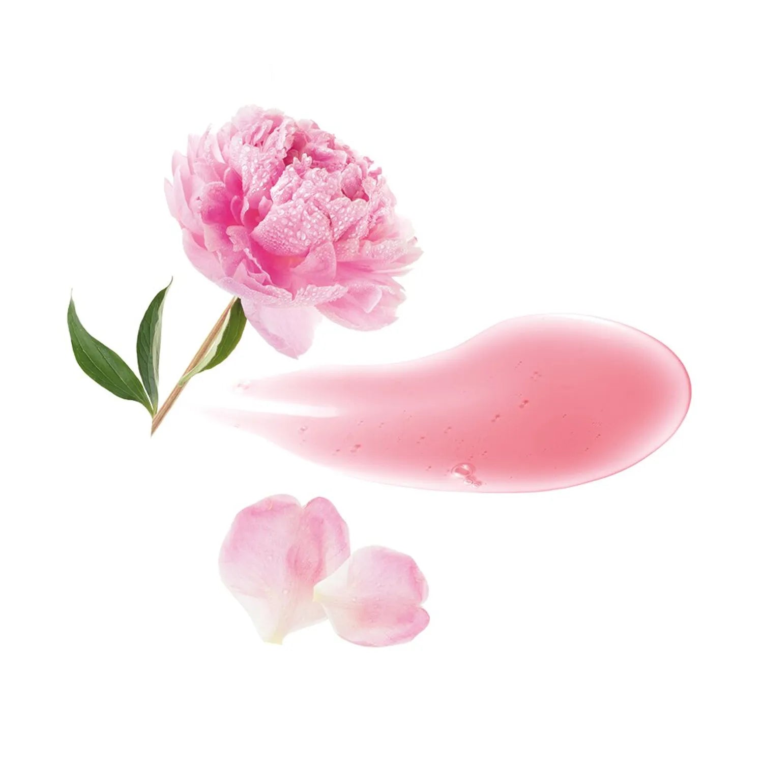 KLORANE Soothing Sensitive Scalp Shampoo with Peony 400mL (NEW)